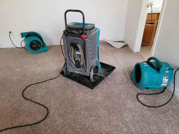 Best Professional water damage repair  in Barbourmeade, KY