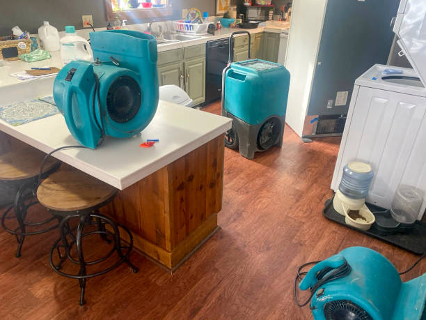 Best Water damage restoration specialists  in Barbourmeade, KY