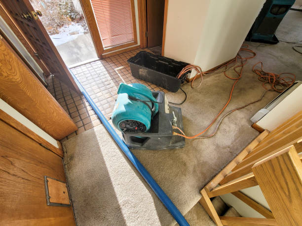 Best Local water damage restoration  in Barbourmeade, KY