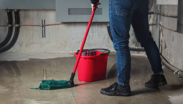 Best Carpet water damage restoration  in Barbourmeade, KY