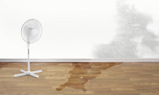 Best Ceiling water damage repair  in Barbourmeade, KY