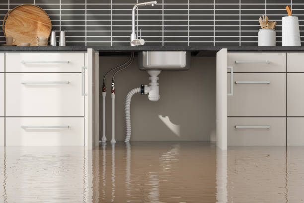 Best Flood damage cleanup  in Barbourmeade, KY